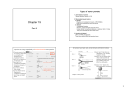 Chapter 19
