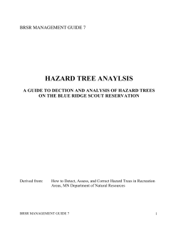 HAZARD TREE ANAYLSIS - Blue Ridge Mountains Council