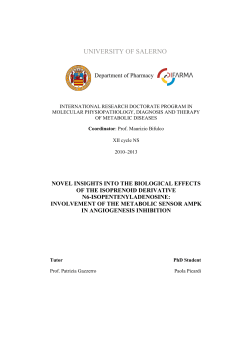 university of salerno