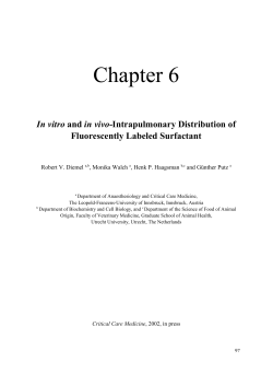 Chapter 6 - Utrecht University Repository