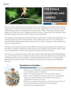 the eagle (hoopoe) has landed