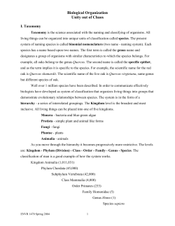 Biological Organization Unity out of Chaos