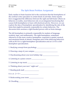 The Split Brain Problem Assignment
