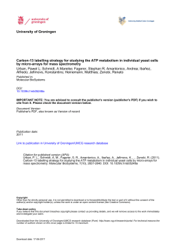 Carbon-13 labelling strategy for studying the ATP metabolism