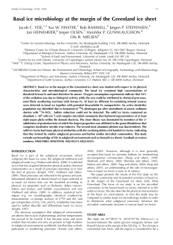 Basal ice microbiology at the margin of the Greenland ice sheet