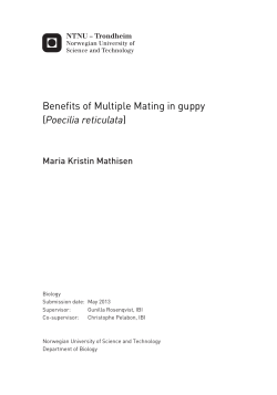 Benefits of Multiple Mating in guppy (Poecilia