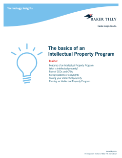 The basics of an Intellectual Property Program