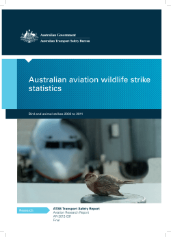 Australian aviation wildlife statistics Bird and Animal strikes 2001 to
