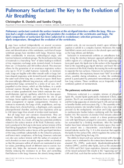 Pulmonary Surfactant: The Key to the Evolution of Air