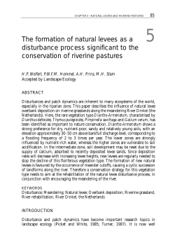 The formation of natural levees as a disturbance process significant