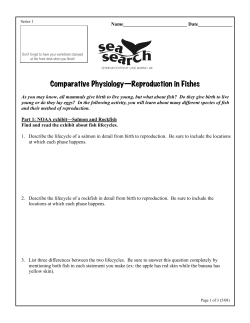 Comparative Physiology&mdash;Reproduction in Fishes