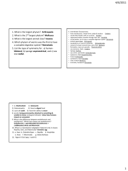 Animals Study Guide