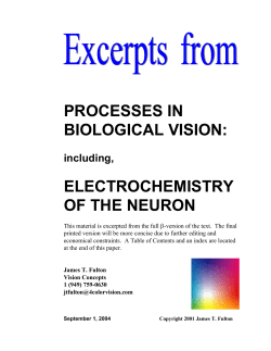 processes in biological vision: electrochemistry of the