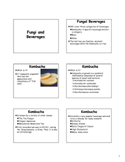 Fungi and Beverages Fungi and Beverages