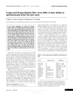 A-type and B-type Epstein&ndash;Barr virus differ in their ability to