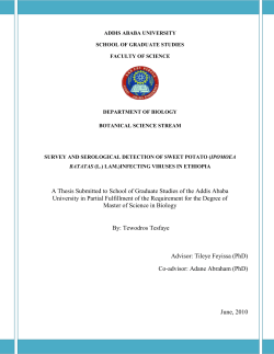 SURVEY AND SEROLOGICAL DETECTION OF SWEET POTATO