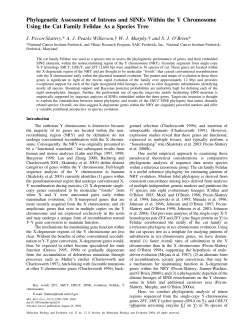 Phylogenetic Assessment of Introns and SINEs Within the Y