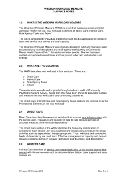 WISEMAN WORKLOAD MEASURE GUIDANCE NOTES 1.0 WHAT