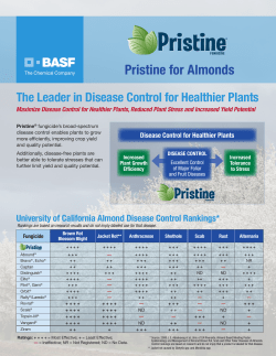 Pristine for Almonds