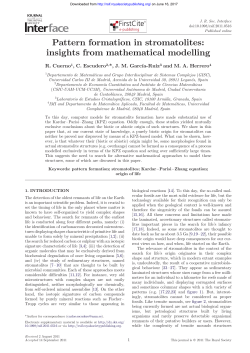 Pattern formation in stromatolites