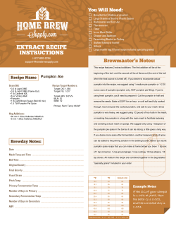 Pumpkin Ale - Homebrew Supply