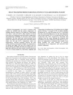 Heat transfer from starlings during flight