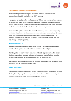 Meningitis Research Foundation Meningitis Now freephone helpline