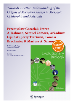 Towards a Better Understanding of the Origins of Microlens