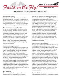 Bat Conservation International, Inc.