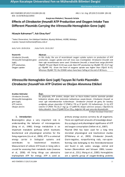Effects of Citrobacter freundii ATP Production and Oxygen Intake