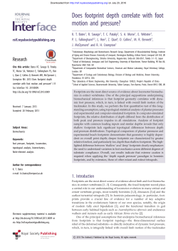 Does footprint depth correlate with foot motion and pressure?
