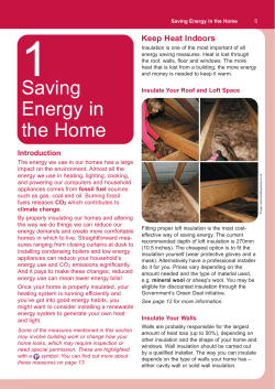 Saving Energy in the Home