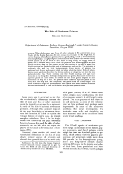 The Skin of Nonhuman Primates Some years ago it occurred to me