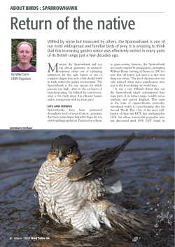 Return of the native