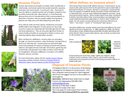 Invasive Plants