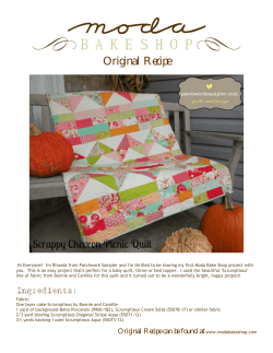 Scrappy Chevron Picnic Quilt