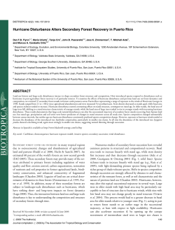 Hurricane Disturbance Alters Secondary Forest Recovery in Puerto