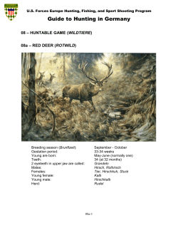 Guide to Hunting in Germany