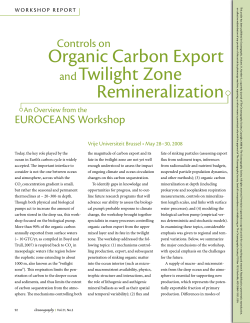 organic Carbon export and twilight Zone