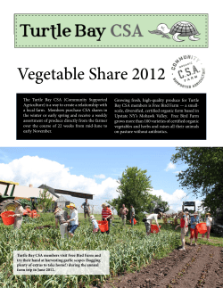 2012 Weekly Large (Full) Vegetable Share