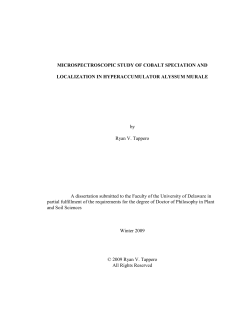 MICROSPECTROSCOPIC STUDY OF COBALT SPECIATION AND