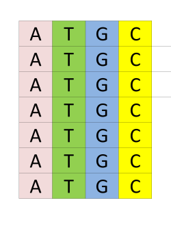 Biology-Card-Sort-Task PDF File