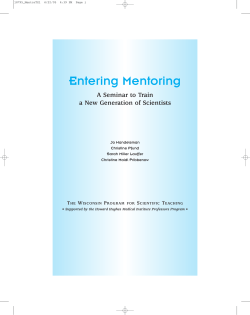 Entering Mentoring