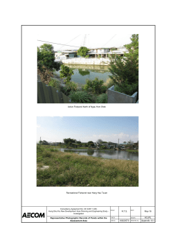 Active Fishpond North of Ngau Hom Shek Recreational Fishpond