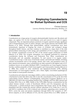 Employing Cyanobacteria for Biofuel Synthesis and