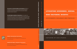 achievements, challenges and strategies