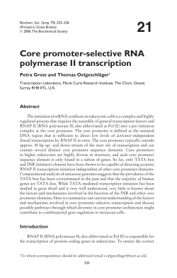 Core promoter‑selective RNA polymerase II transcription