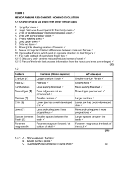 Grade 12 LFSC Term 3 2015 Hominid Evolution
