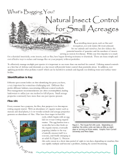 natural insect control