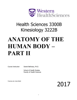 HS3300B - Western University